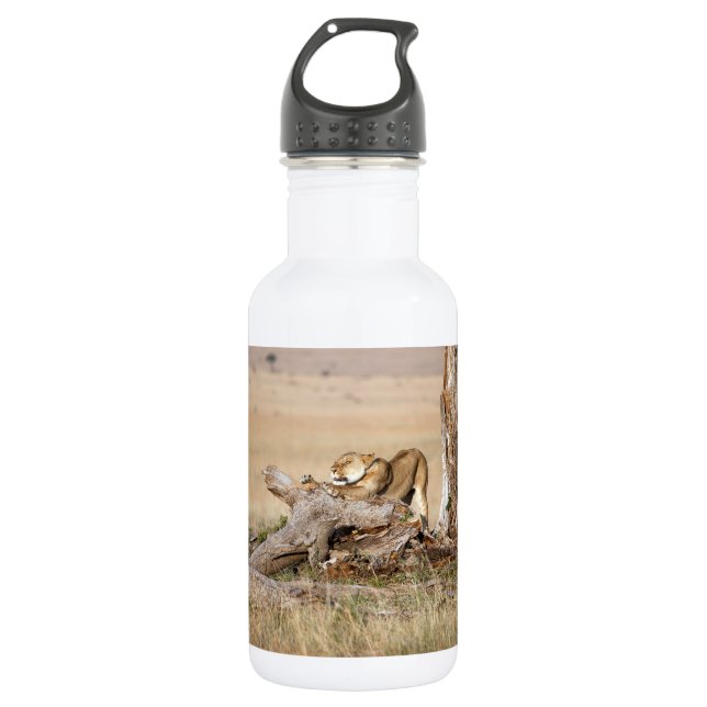 Bouteille D'eau En Acier Inoxydable Lioness stretching (Devant)
