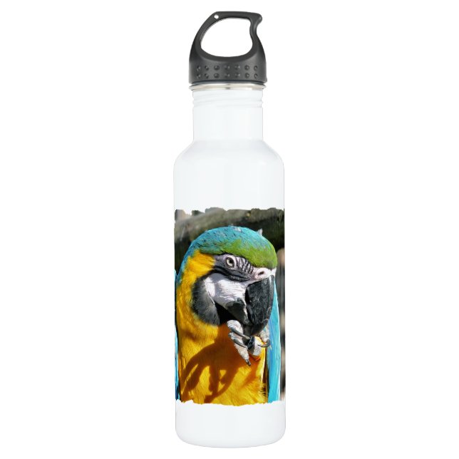 BOUTEILLE D'EAU EN ACIER INOXYDABLE MACAWS (Devant)