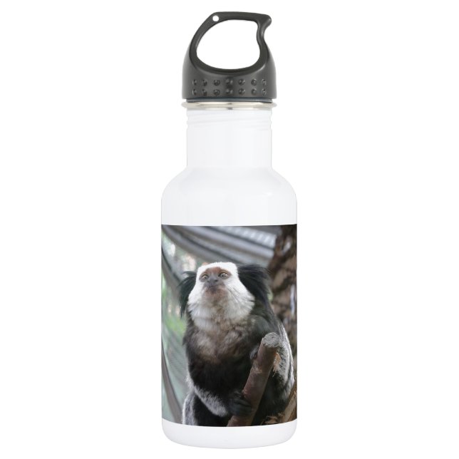 Bouteille D'eau En Acier Inoxydable Marmoset (Devant)