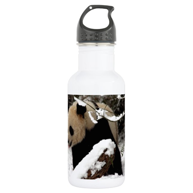 Bouteille D'eau En Acier Inoxydable Panda géant (Devant)