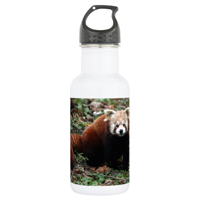Bouteille D'eau En Acier Inoxydable Panda rouge (Devant)