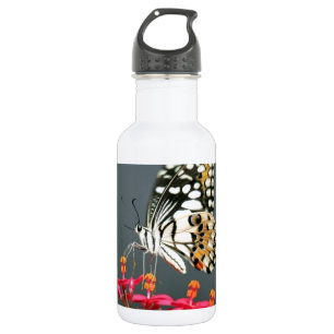 Bouteille D'eau En Acier Inoxydable Papillon blanc noir et jaune sur des fleurs roses