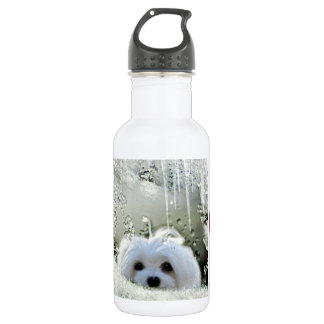 Bouteille D'eau En Acier Inoxydable Perce-neige le maltais