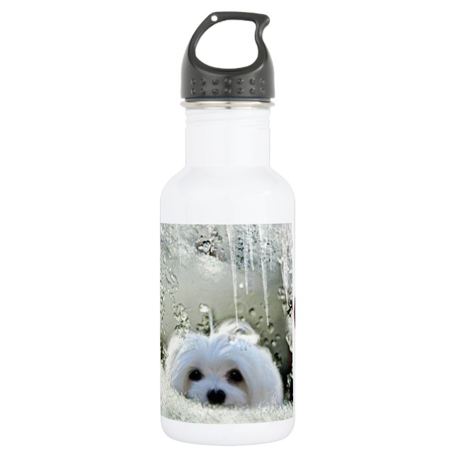 Bouteille D'eau En Acier Inoxydable Perce-neige le maltais (Devant)