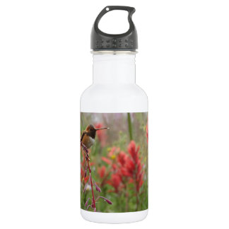 Bouteille D'eau En Acier Inoxydable Petit oiseau gras