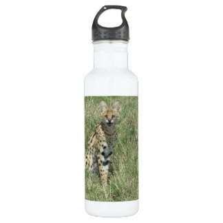 Bouteille d'eau en acier inoxydable pour chat Serv