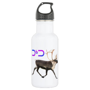 Bouteille D'eau En Acier Inoxydable Tuktu - Caribou