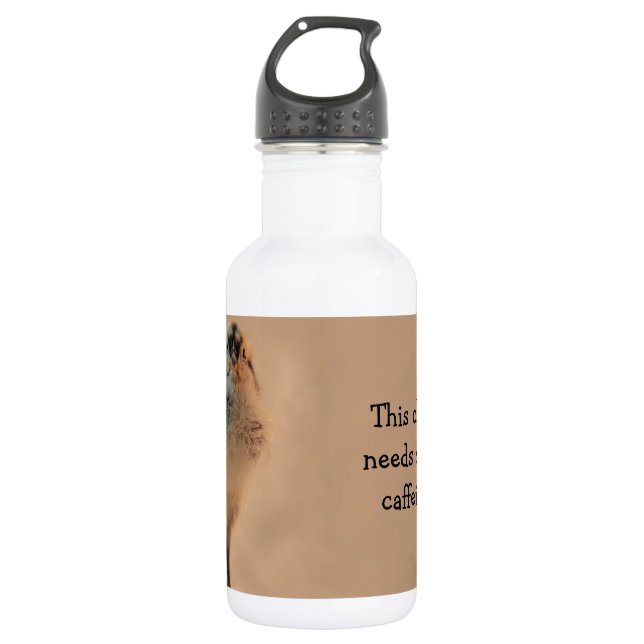 Bouteille D'eau En Acier Inoxydable Ugly Chick (Devant)