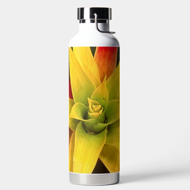 Bouteille D'eau Étoile explosive (Droite)