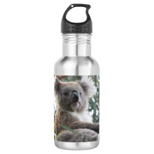 Bouteille D'eau Faits d'ours de koala