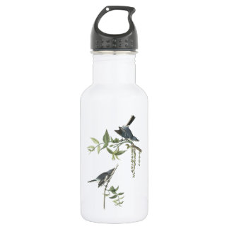 Bouteille D'eau Gnatcatcher gris-bleu par Audubon