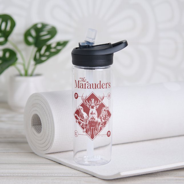 Bouteille D'eau HARRY POTTER™ Les Marauders Animagus Graphisme (Yoga)
