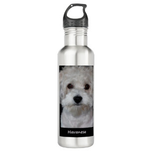 Bouteille D'eau Havanese
