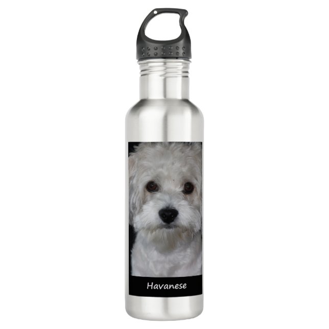 Bouteille D'eau Havanese (Devant)