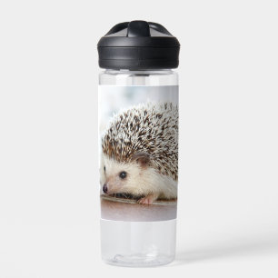Bouteille D'eau Hérisson bébé mignon