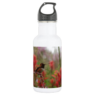 Bouteille D'eau Hummingbird