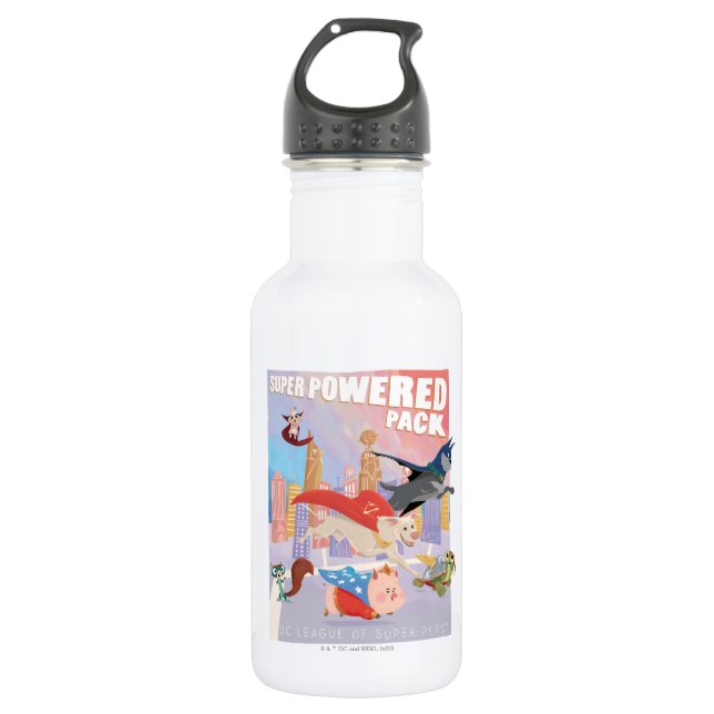 Bouteille D'eau Illustration de Super Powered Pack Metropolis (Devant)