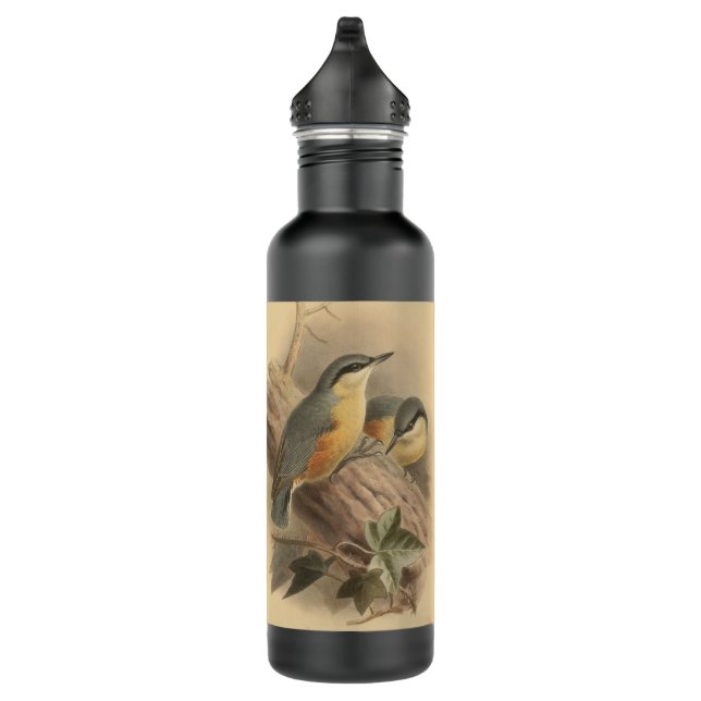 Bouteille D'eau Illustration vintage de Nuthatch (Droite)