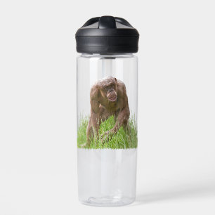 Bouteille D'eau Jambo Le Chimp Unique Sans Cheveux