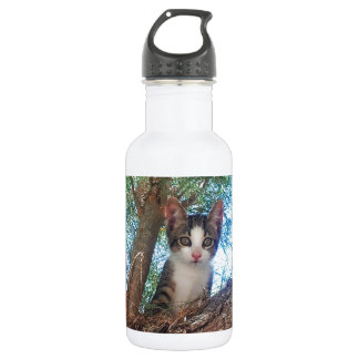 Bouteille D'eau Joli petit chaton jouant dans les bois