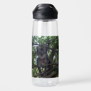 Bouteille D'eau Kittens First Tree Tops Adventure,