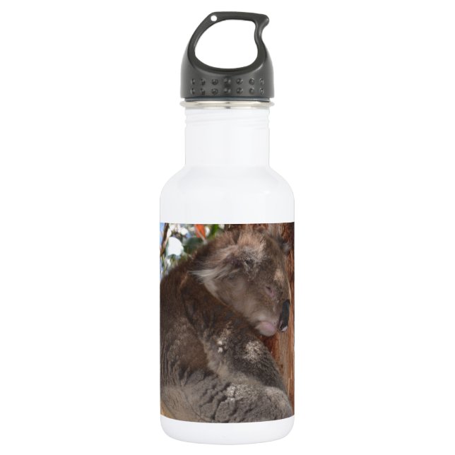 Bouteille D'eau Koala (Devant)