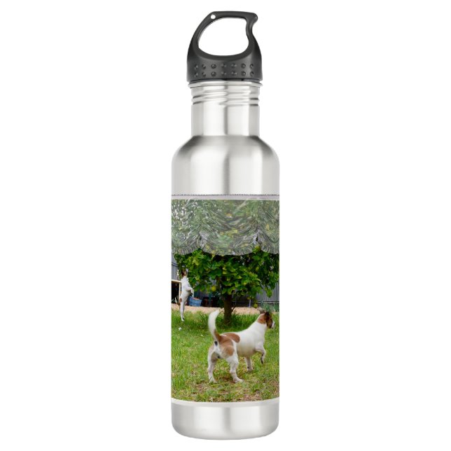 Bouteille D'eau L'Amour Est Un Renard Terrier, (Devant)