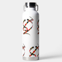 L'art faunique des serpents de corail