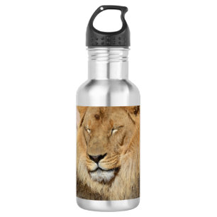 Bouteille D'eau Lion adorable