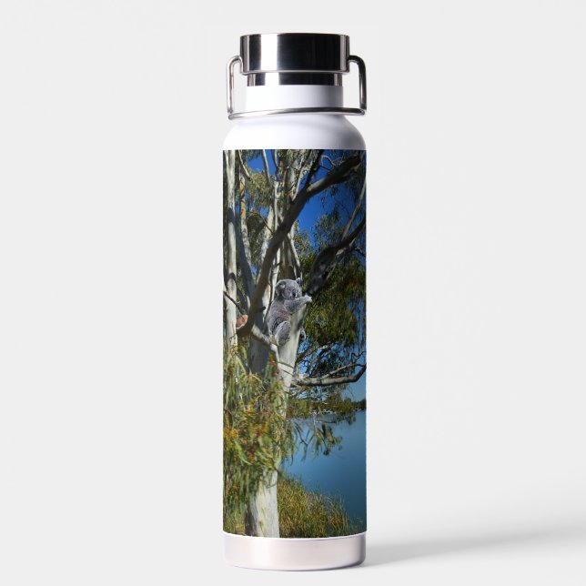 Bouteille D'eau L'Ours De Koala Dormait Dans Un Arbre De Gomme, (Arrière)