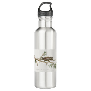 Bouteille D'eau Namaqua chameleon Lizard Reptile Gecko