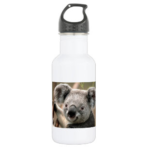 Bouteille D'eau Ours de koala