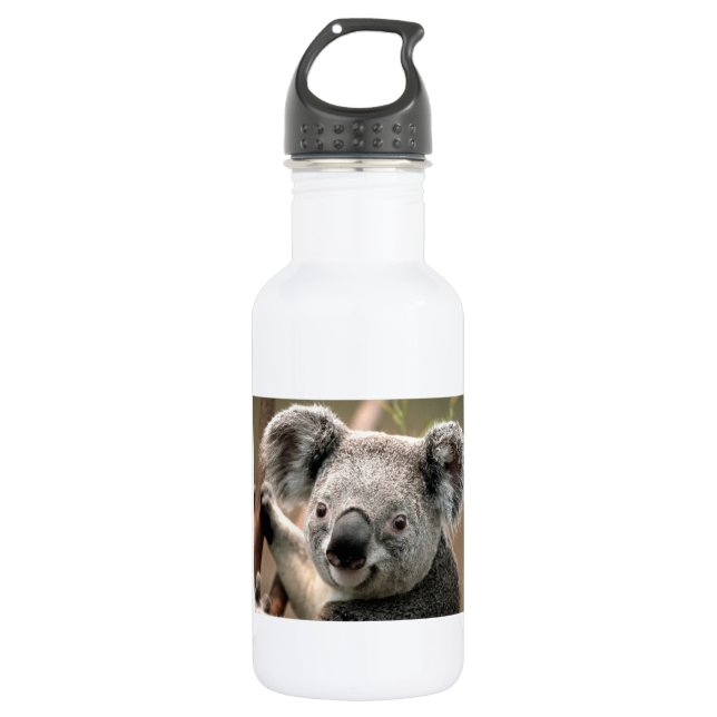Bouteille D'eau Ours de koala (Devant)