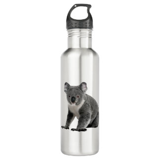 Bouteille D'eau Ours de koala