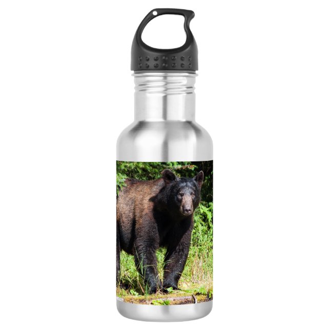 Bouteille D'eau Ours noir Alpha (Devant)