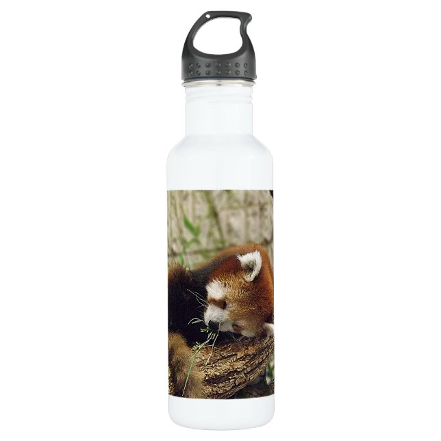 Bouteille D'eau Panda rouge de sommeil mignon avec la nourriture (Devant)