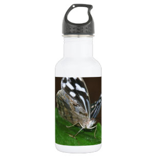Bouteille D'eau Papillon noir et blanc
