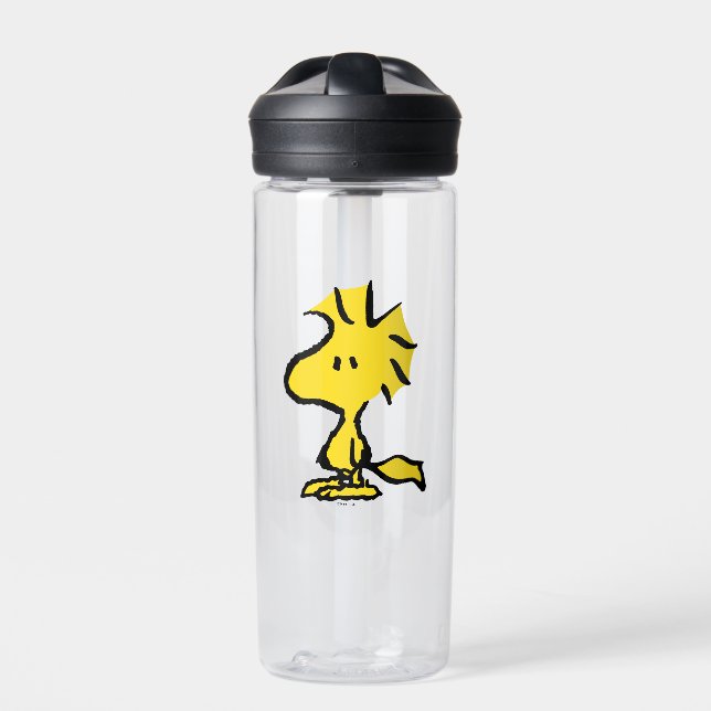 Bouteille D'eau Peanuts | Snoopy's Friend Woodstock (Extérieur)
