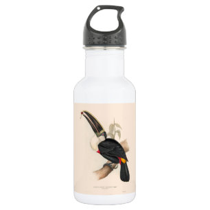 Bouteille D'eau Peinture animalière d'antiquités Toucans