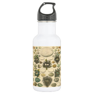 Bouteille D'eau Peinture artistique de nid d'oeuf d'oiseau vintage