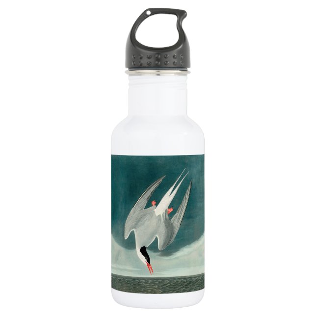 Bouteille D'eau Peinture de la faune de la sterne de l'Arctique Au (Devant)