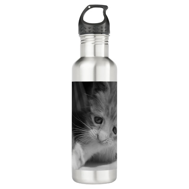Bouteille D'eau Photo de Kitten noir et blanc (Devant)