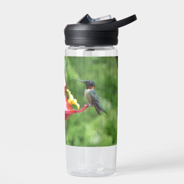 Bouteille D'eau Photographie d'oiseau Colibri à gorge rubis (Gauche)