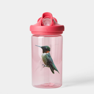 Bouteille D'eau Photographie d'oiseau Colibri à gorge rubis