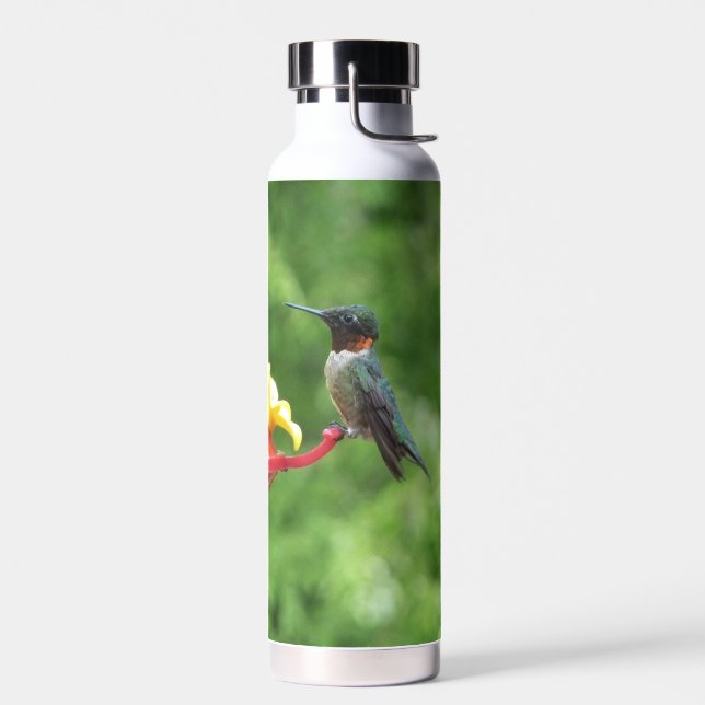 Bouteille D'eau Photographie d'oiseau de colibri à gorge rubis (Gauche)