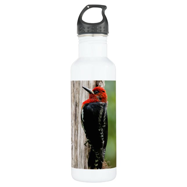 Bouteille D'eau Pic-de-la-Bête-Rouge dans la forêt (Devant)