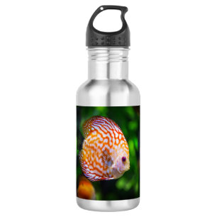 Bouteille D'eau Poisson Discus