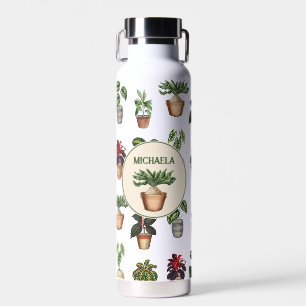 Bouteille D'eau Pots en terre cuite Plante