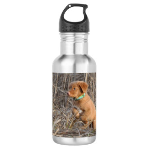 Bouteille d'eau pour chiot à rouleaux, Acier inoxy