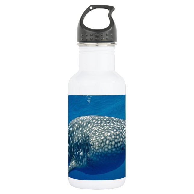 Bouteille D'eau Requin baleine (Devant)